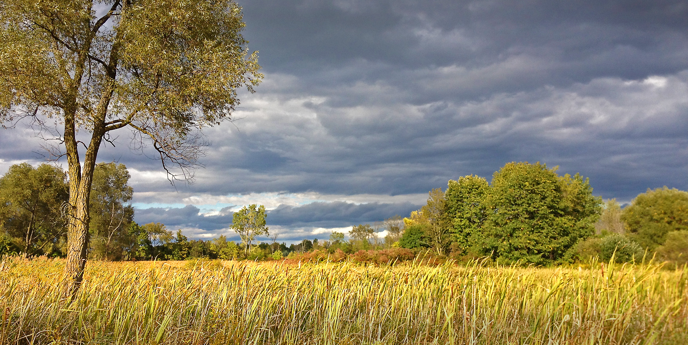 Jack R. Smiley Nature Preserve